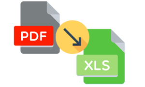 pdf to xle